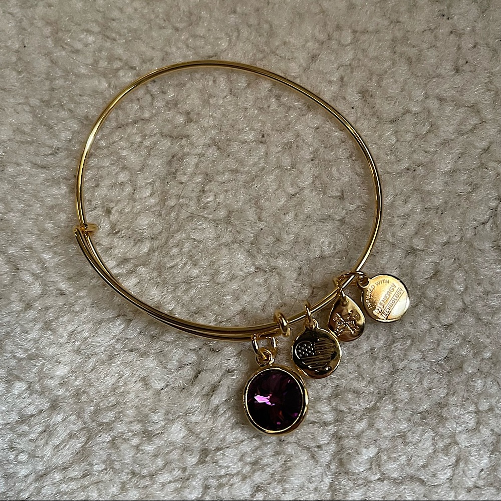 ALEX AND ANI February Birth Stone Charm Bangle - Amethyst